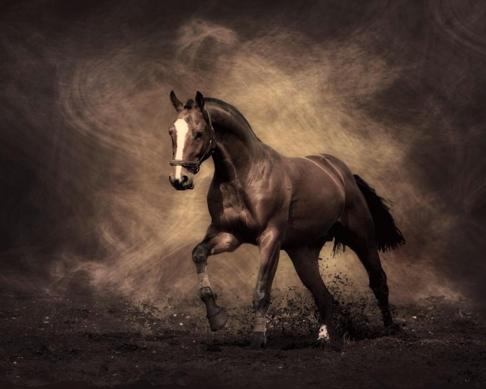 心理测试,哪张图片让你感到唯美,测试一下你什么时候才会走大运