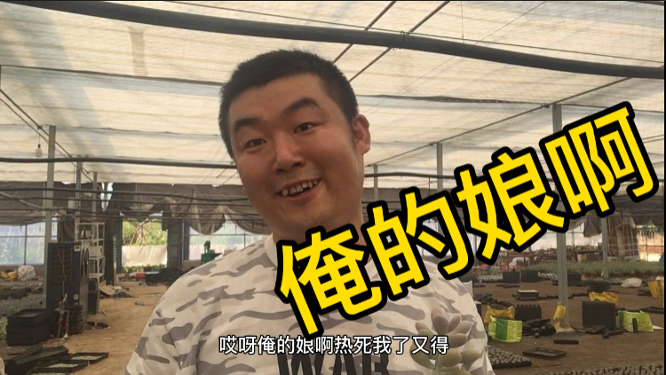 去投资四百多万的多肉基地去捡漏小伙热的叫娘散装普通话笑死人
