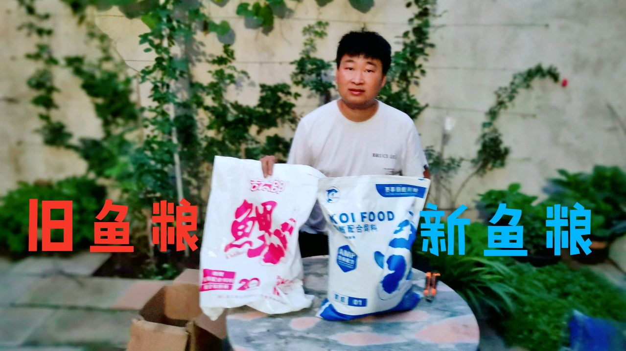 小伙网购锦鲤鱼粮,客服说这种又便宜又好,这话可信么