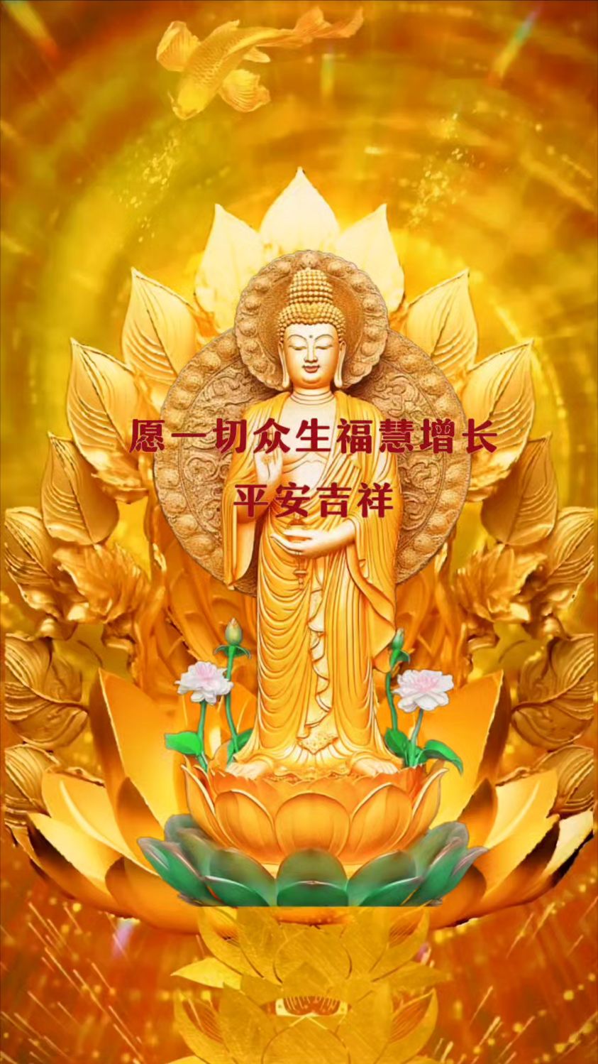 佛光普照众生福慧增长