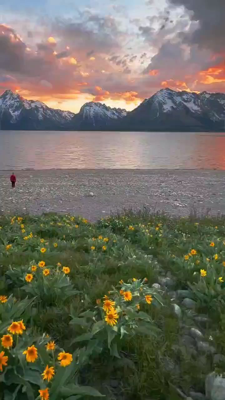 美丽风景中的背影