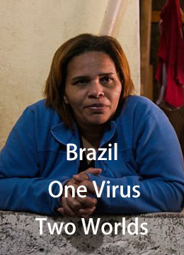 巴西一个病毒两重天