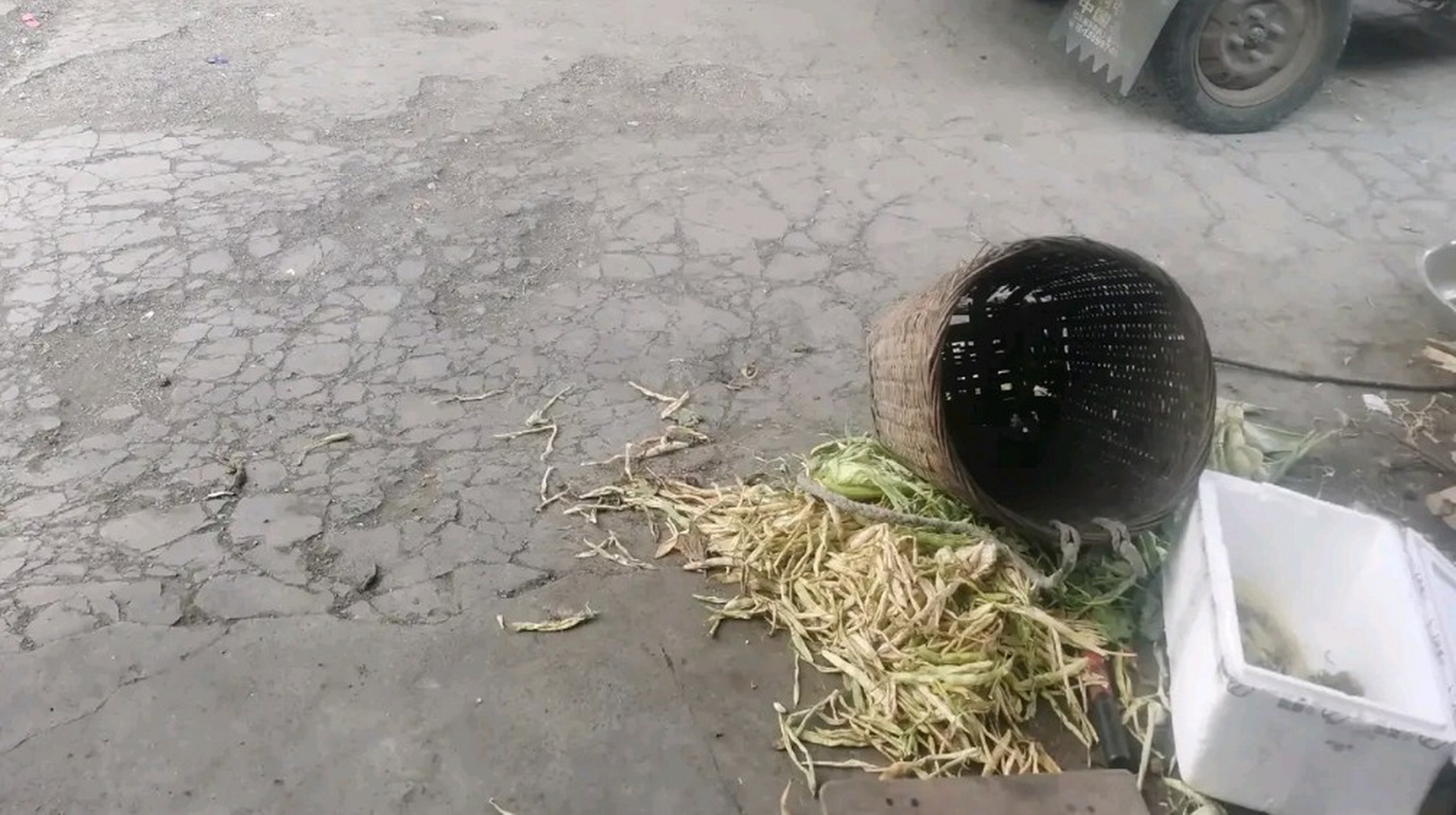 刚才这个男子来买鸡.踏进大门就问:"老板娘,多少钱一斤?