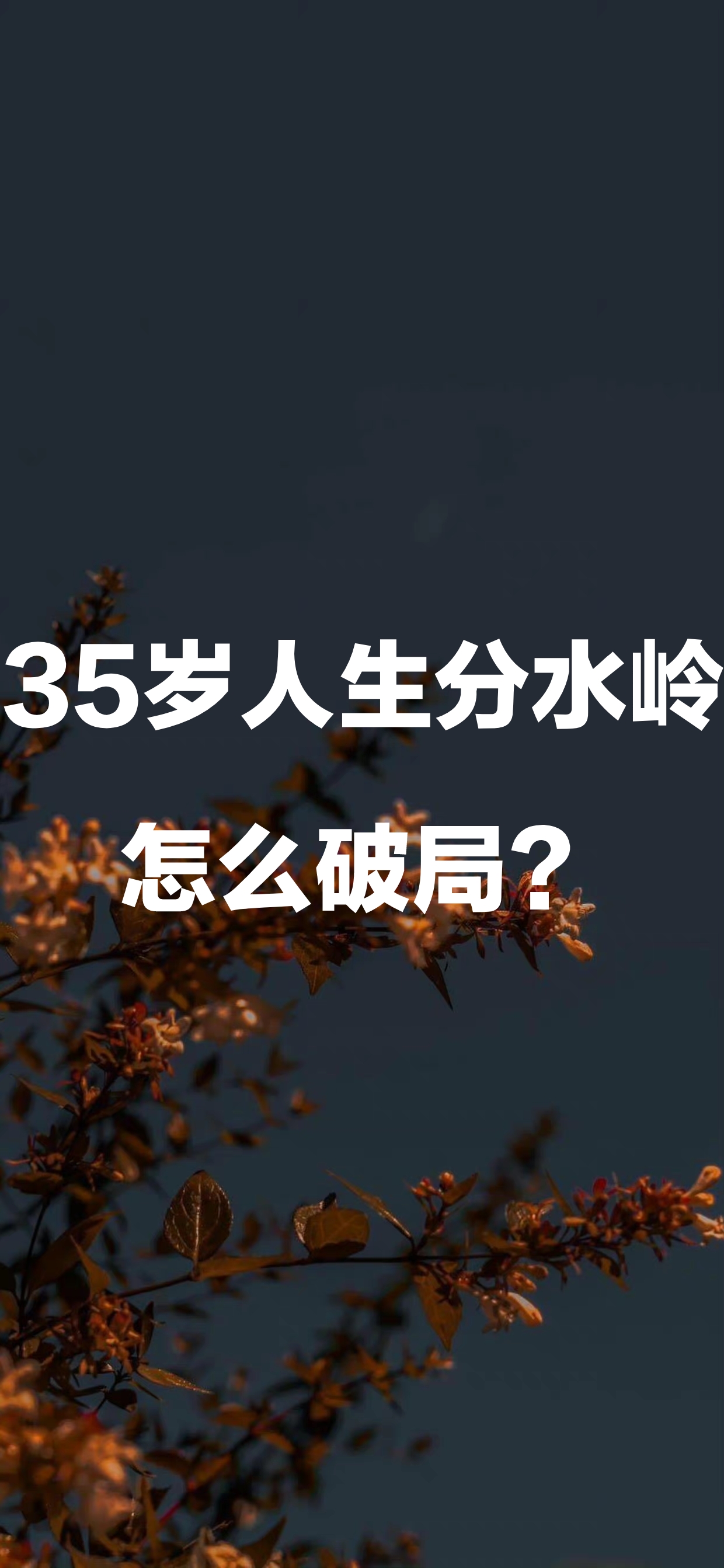 35岁人生分水岭,如何破解困局?