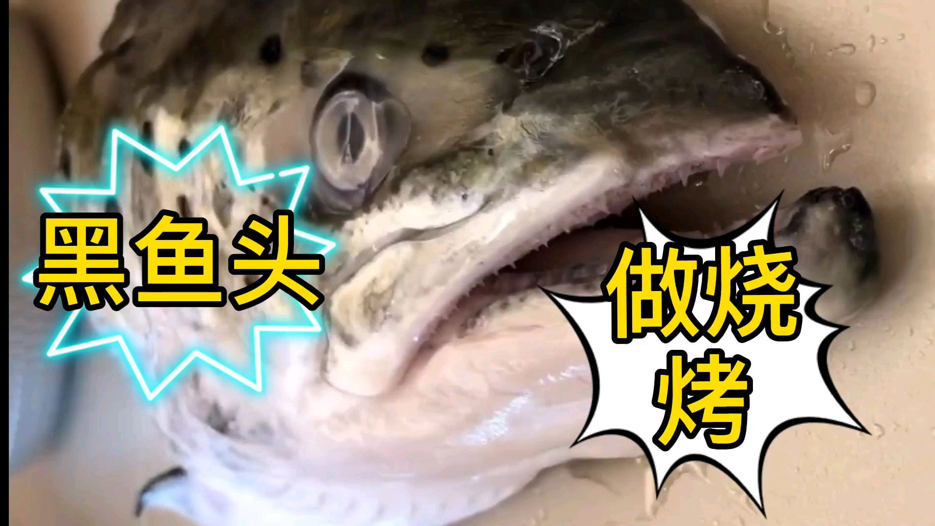 美食,用新鲜黑鱼头,做一道家常美食,配上饺子很好吃