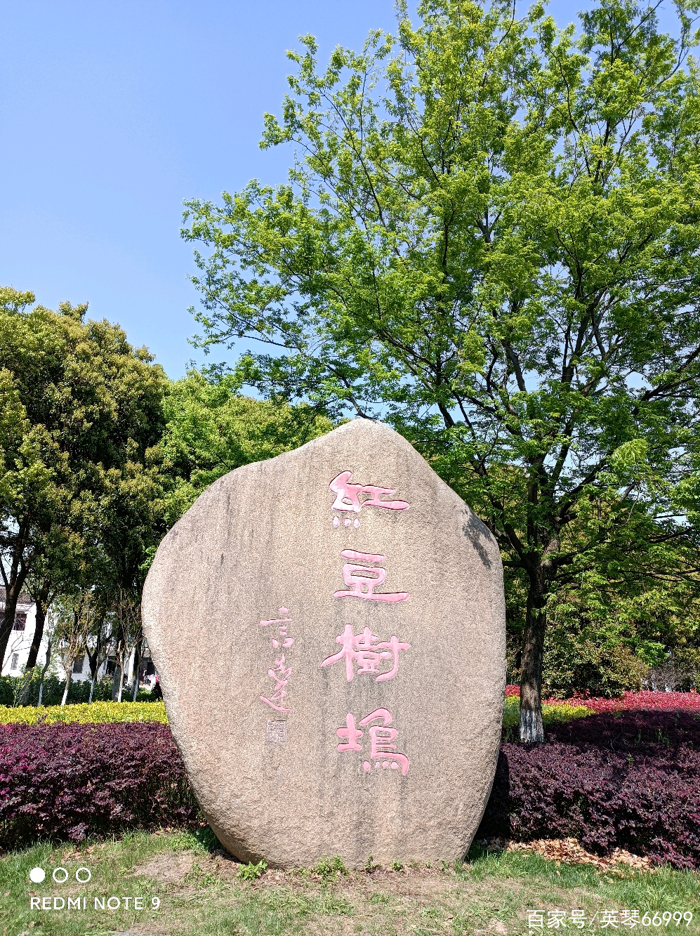 江陰顧山紅豆村