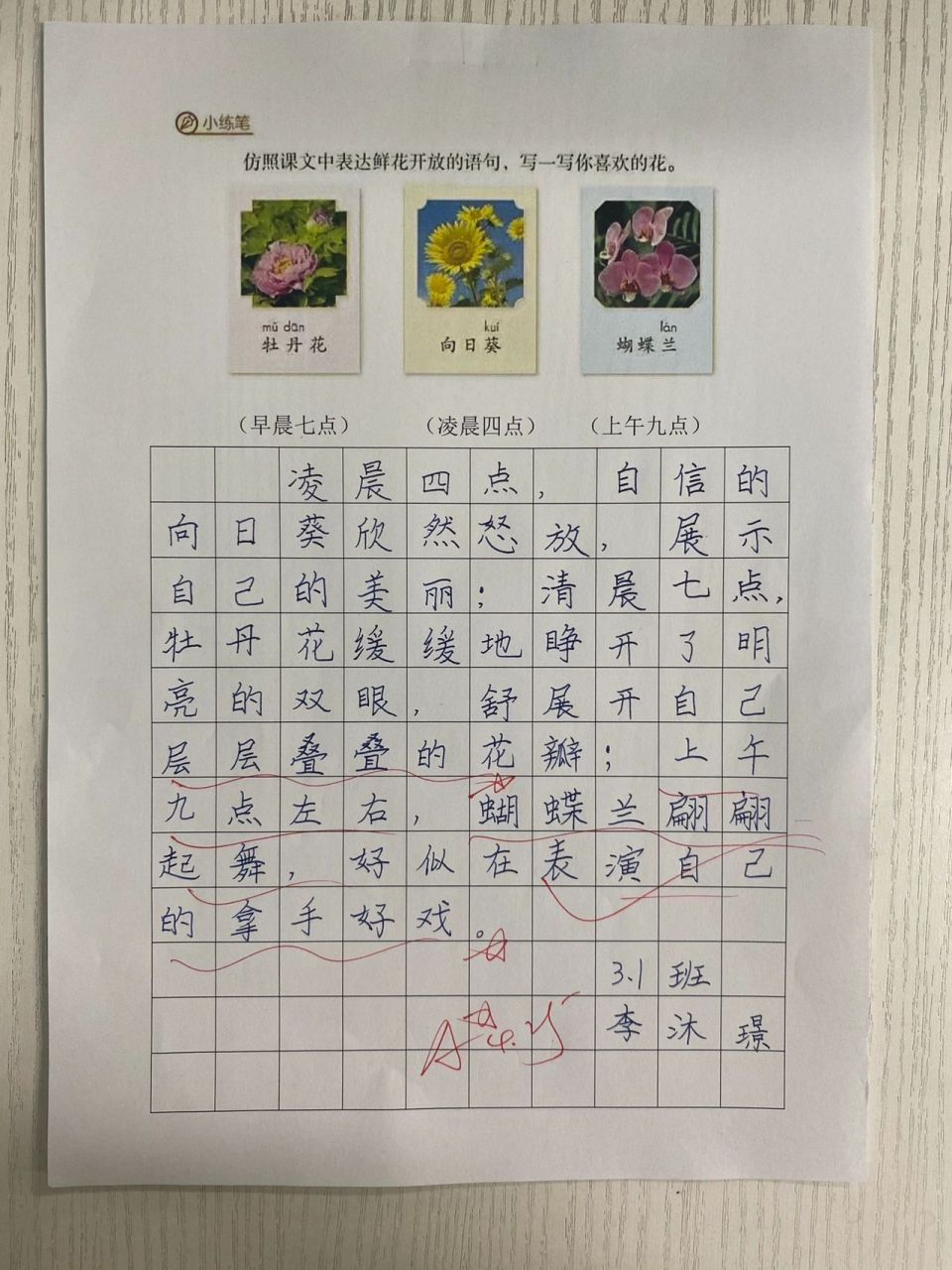 三下:《花钟》高质量"小练笔"91 《花钟》课后小练笔!