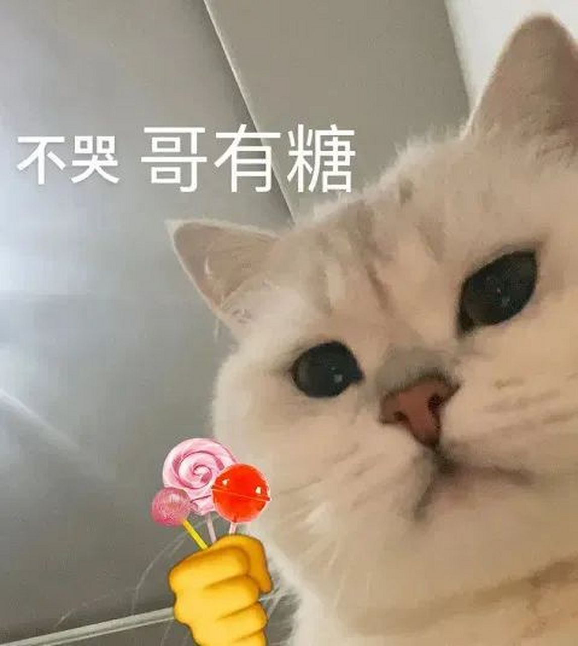 逗你玩呢# #表情包# 许久不见,一点也没长进呀