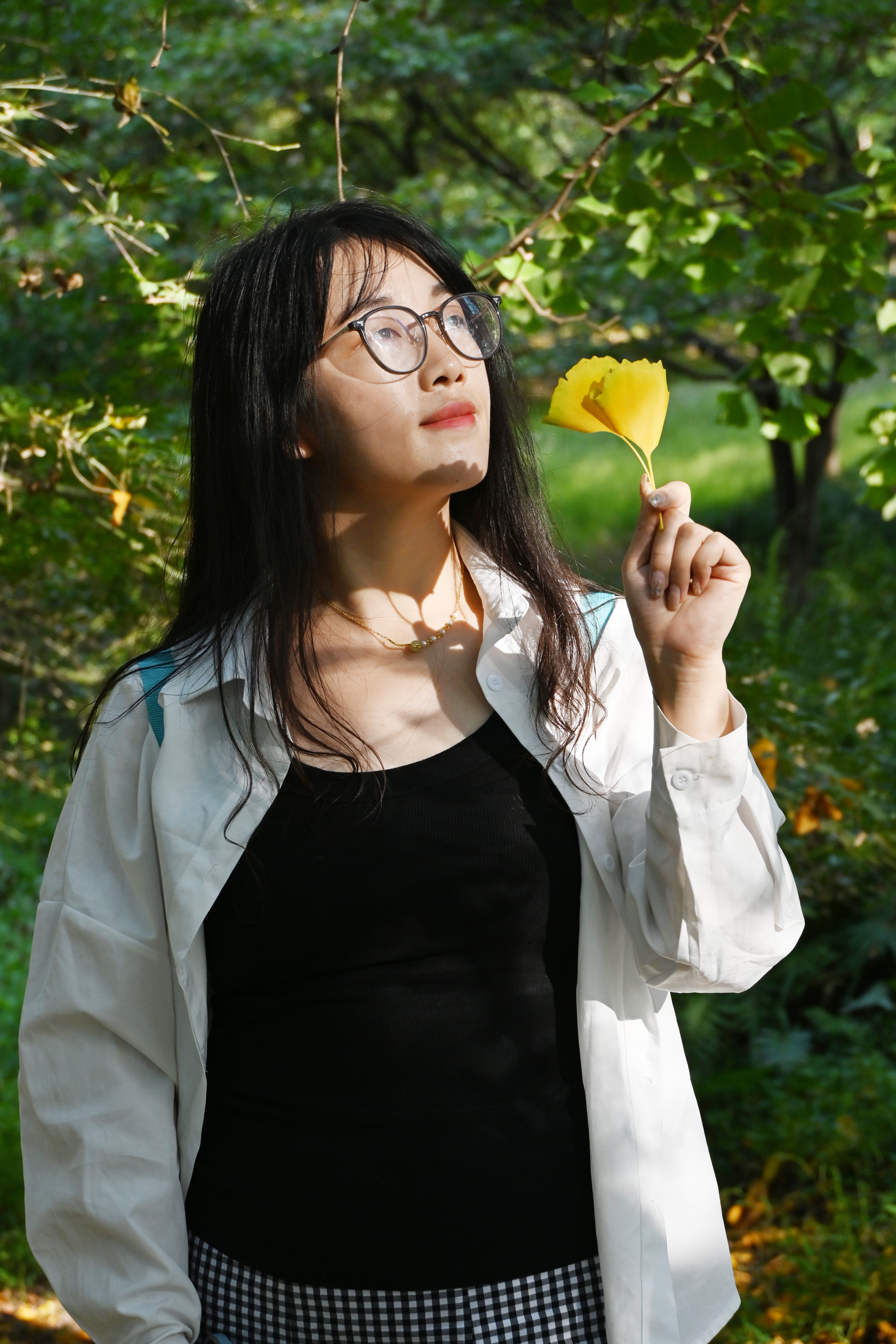 记录张师傅摄影入门作