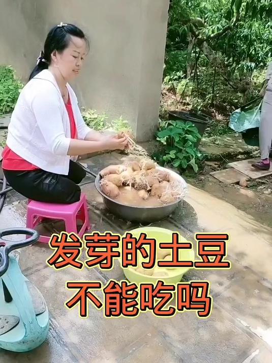 土豆芽中毒图片