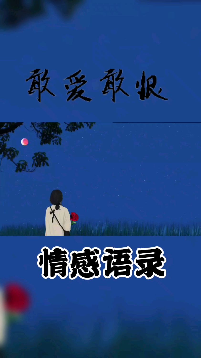 情感语录敢爱敢恨我的态度取决于你的态度