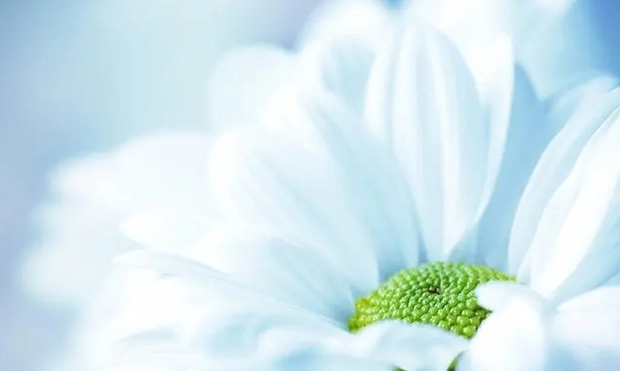 仇恨的种子在心里生根发芽长成参天大树,这时候连根拔起要彻底清除