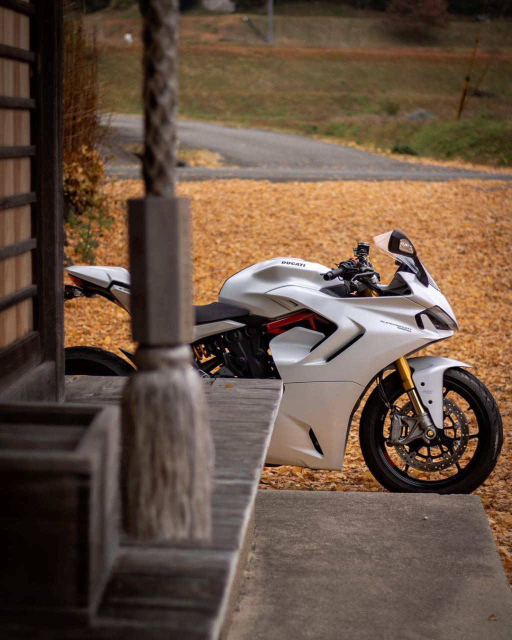 杜卡迪鸰速#摩托车