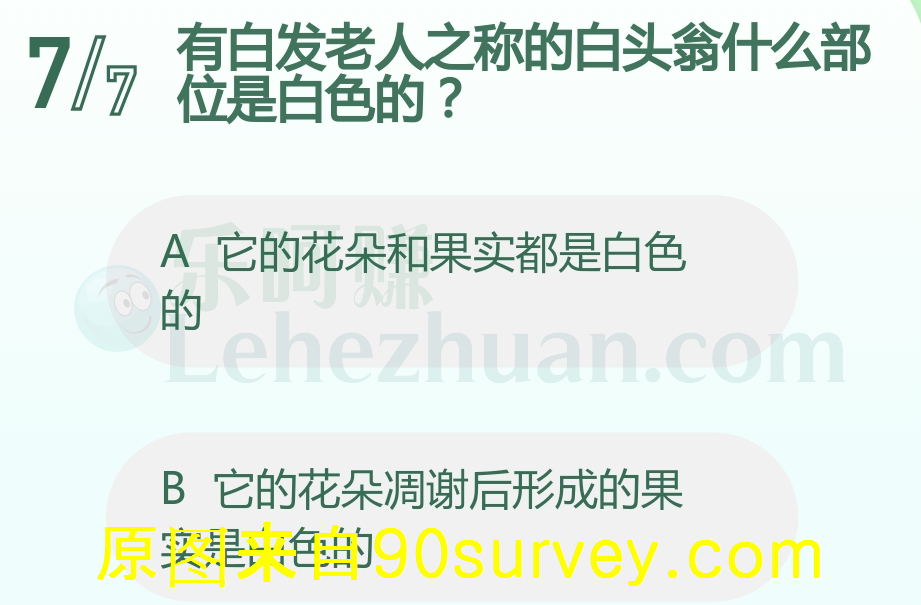 有白发老人之称的白头翁的花朵凋谢后形成的果实是白色的 有白发老人之称的白头翁的花朵凋谢后形成的果实是白色的