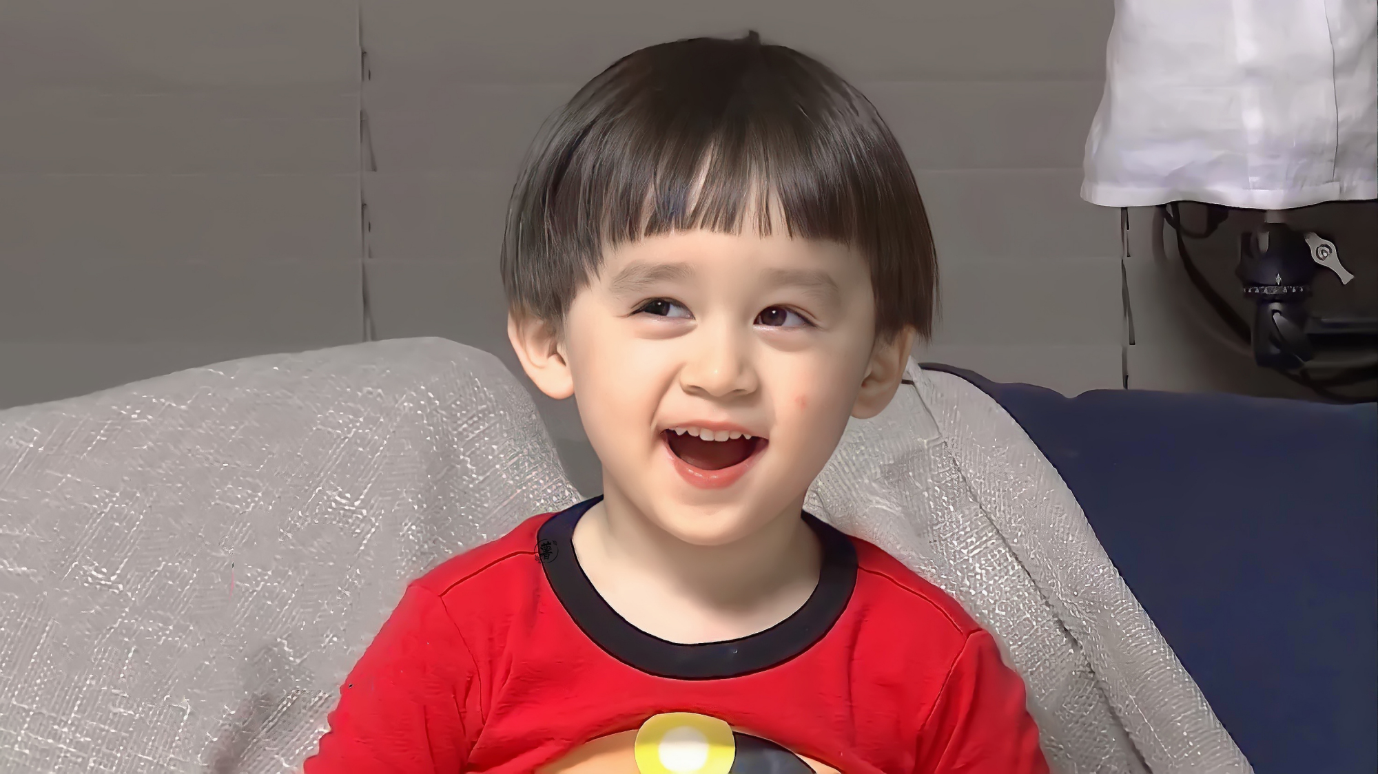 本特利可爱萌图