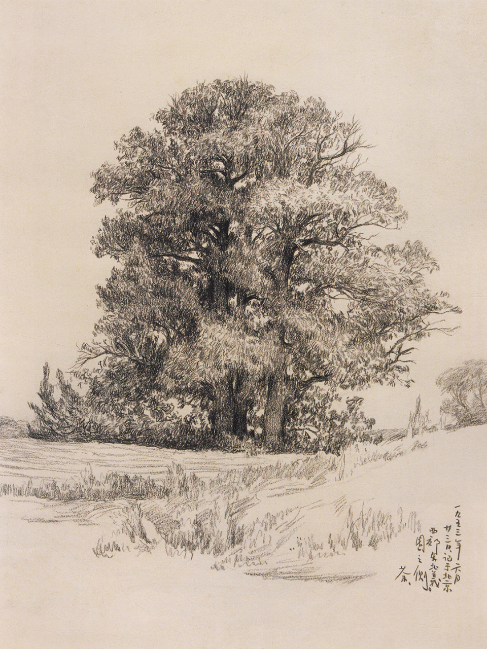 吴冠中速写作品欣赏!