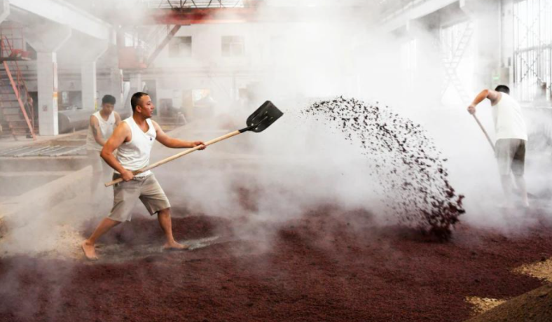 解密酱酒酿造工艺之阳发酵