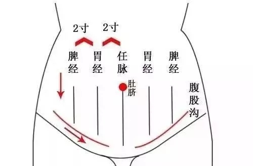 按摩肚子整个部位图图片