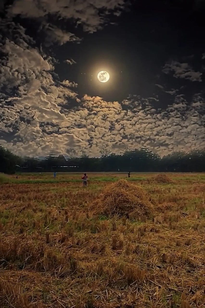 真的不骗人,小时候的夏天月光真的是这样的,不用拿手电筒,能照亮大路