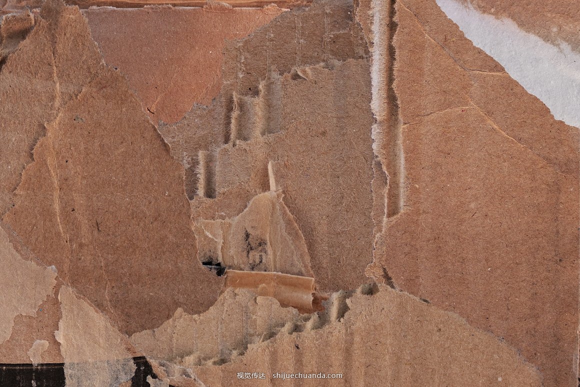 Torn cardboard textures-10.jpg