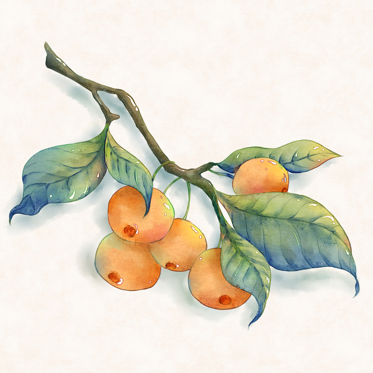 手绘水彩水果(插画师:百合芝士脆)