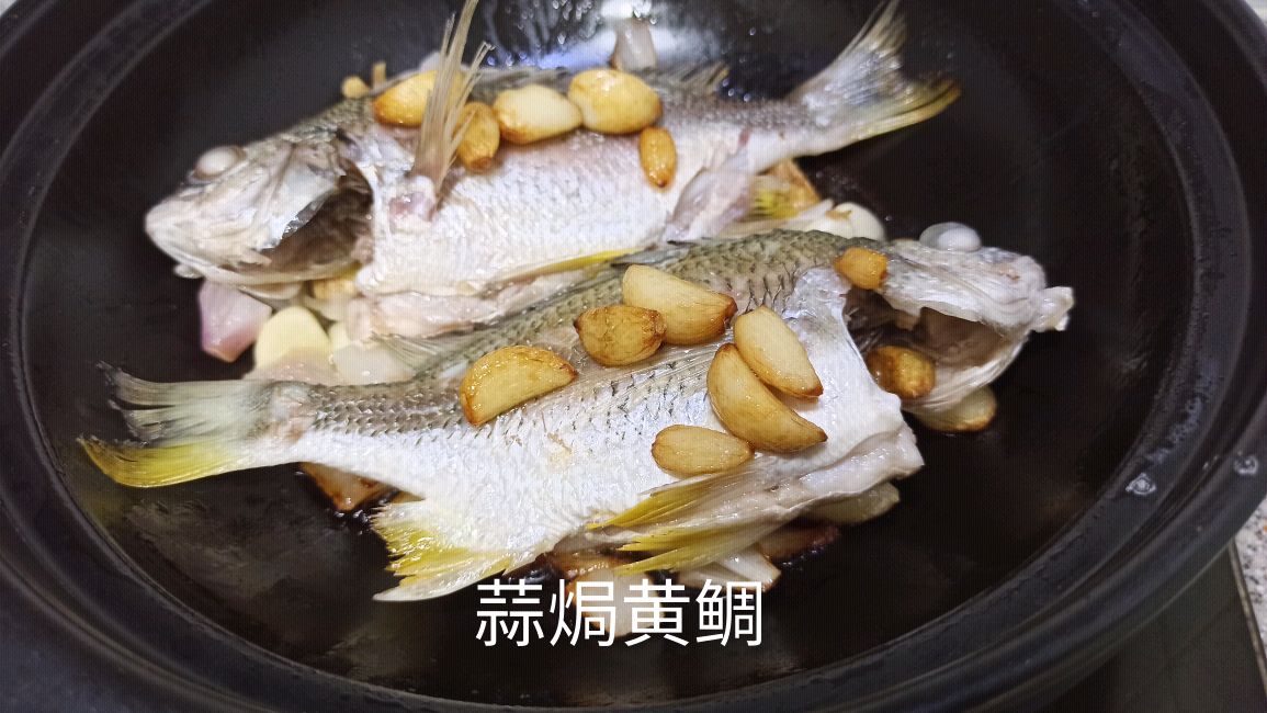 焗黄鲷,厦门叫黄翅,饲养,海捕,海钓,价格差异五倍