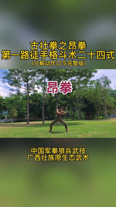 昂拳第一路徒手格斗术二十四式分解动作教学视频口令完整版