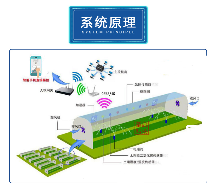 农业物联网系统:未来智能农业的加速器