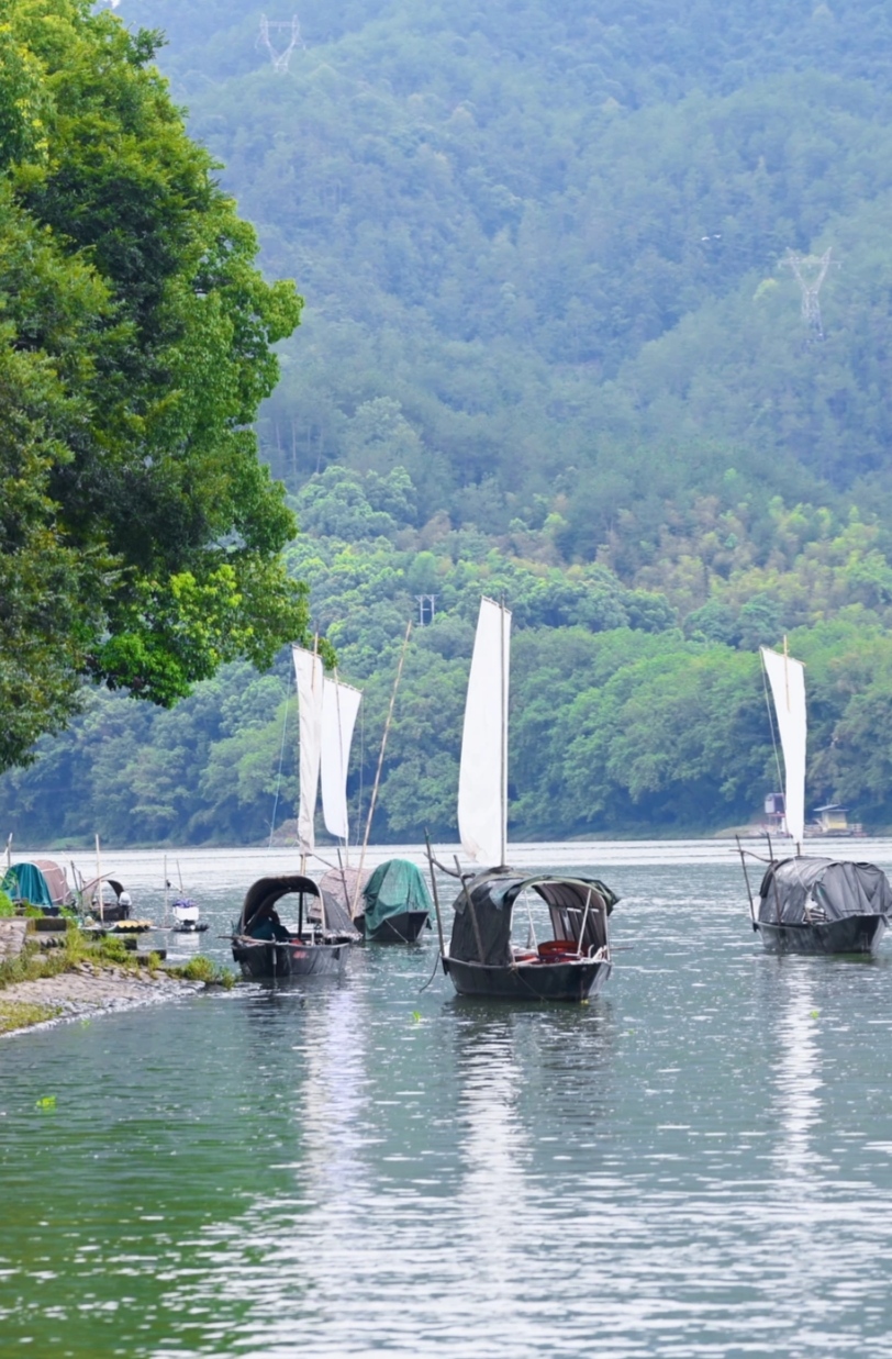 丽水莲都景区图片