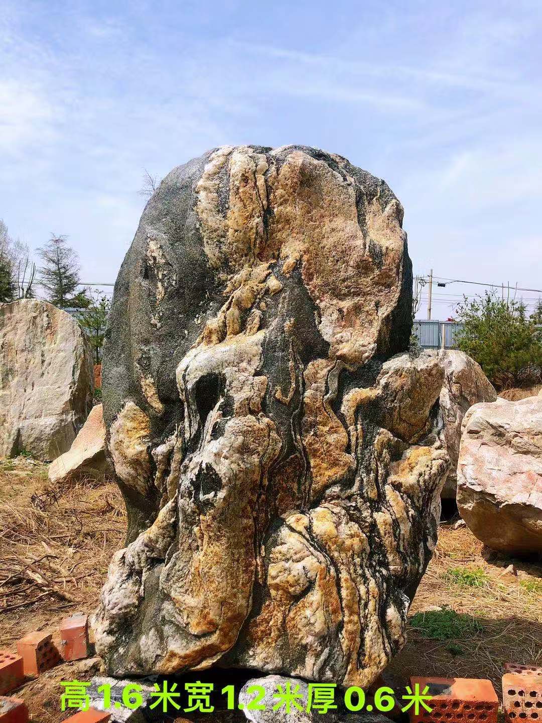 迎客松,大型迎门景观石