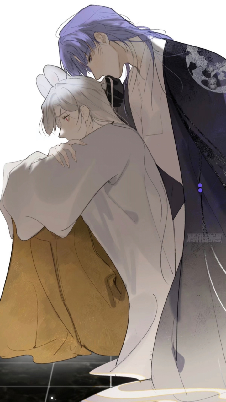 又又和老赵好帅!我好爱!