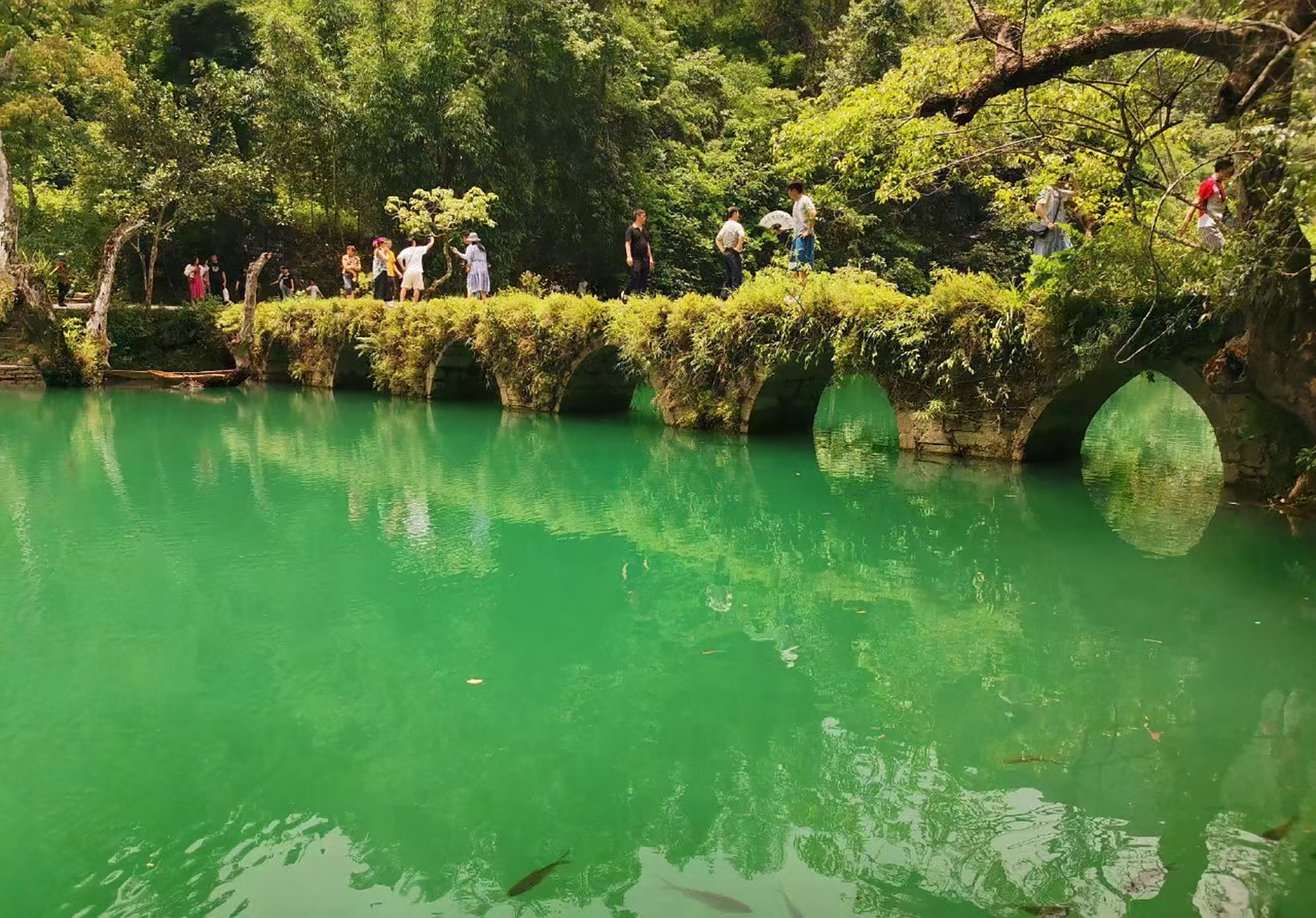 夏季最適合旅遊的地方#贵州 黄果树瀑布 "中华第一瀑" 亚洲最大的瀑布