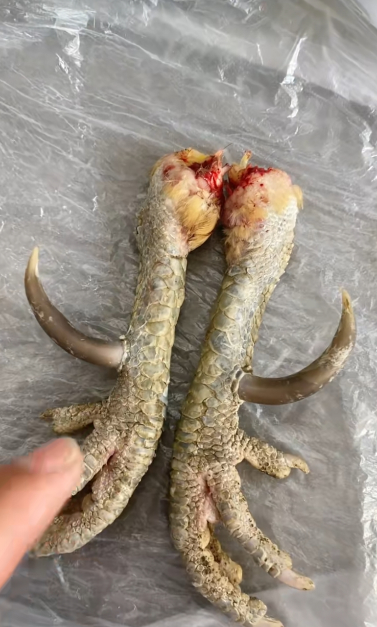 老公,花3000块,买两个鸡爪子!是不是不正常,怎么修理他[咒骂]