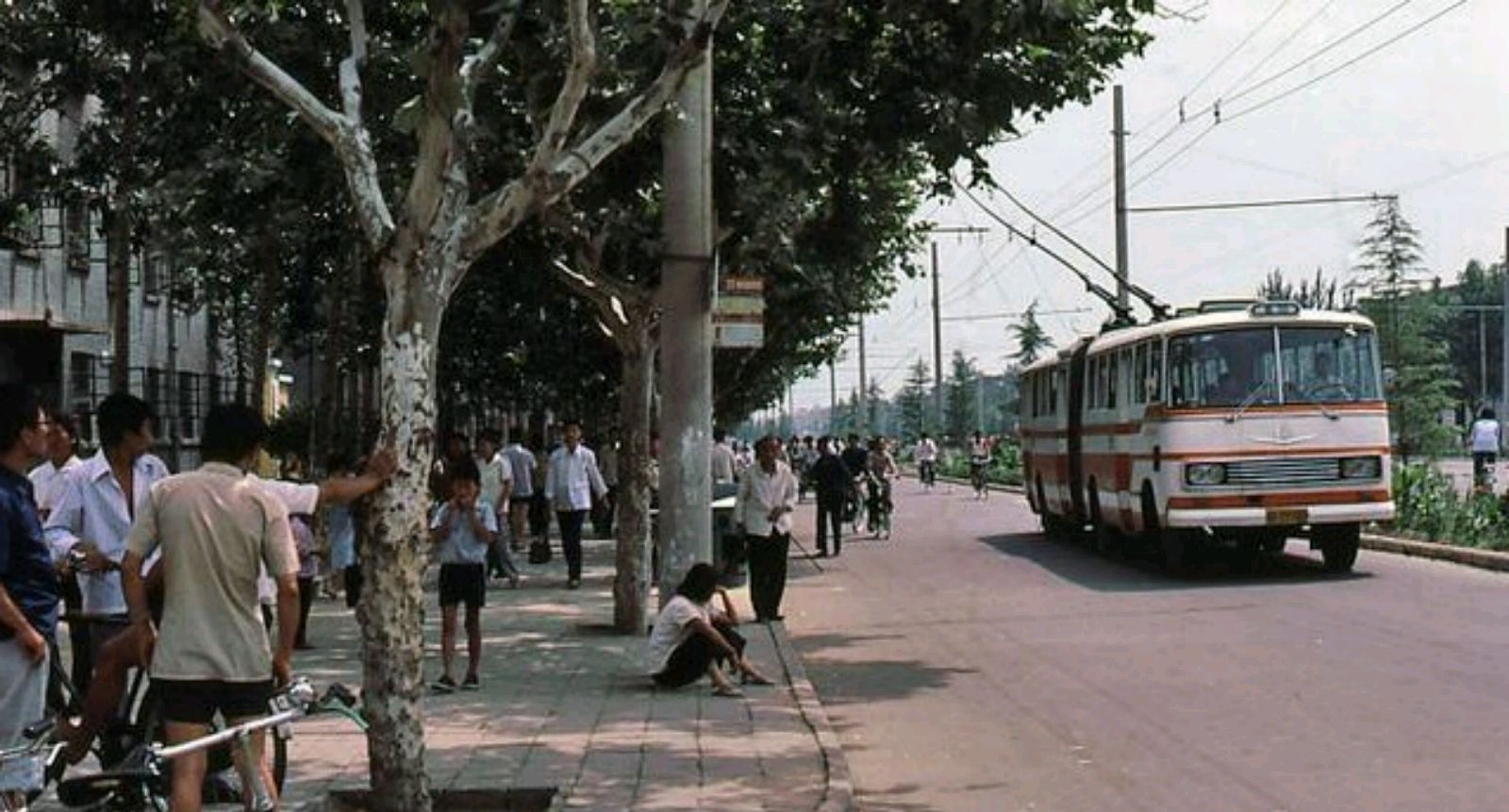 八十年代郑州的老照片图片