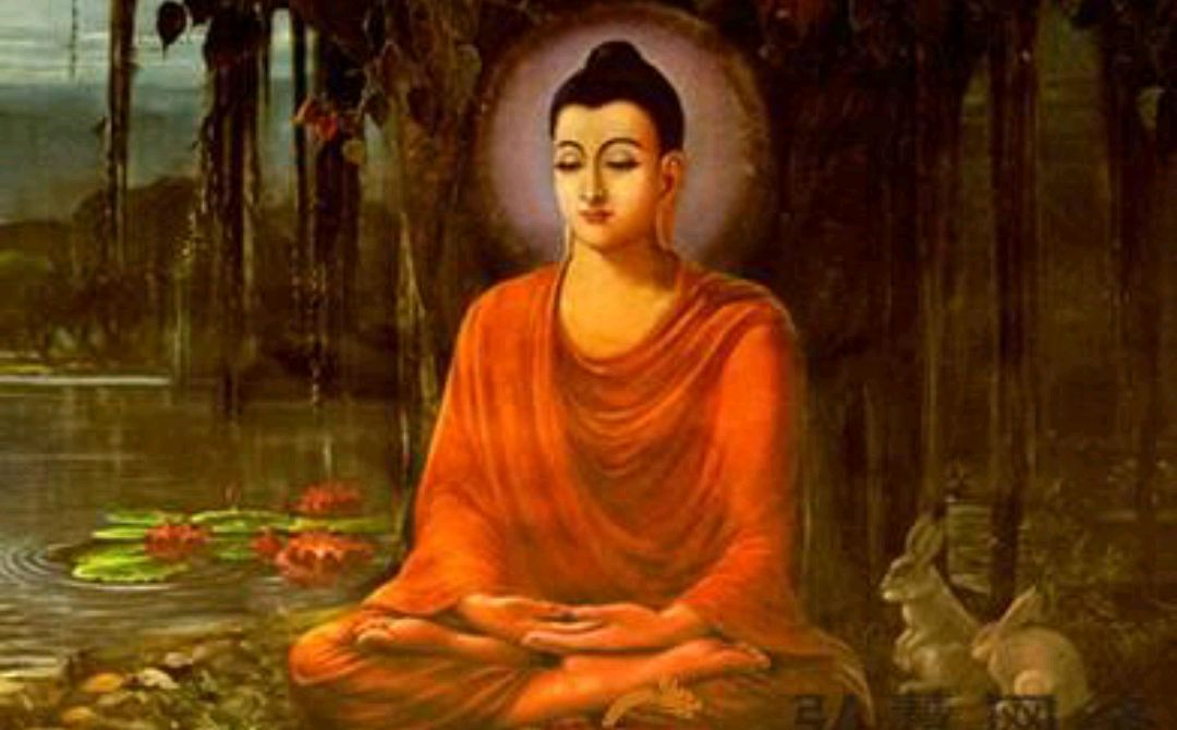 《金刚经,一切诸佛及诸佛阿耨多罗三藐三菩提法,皆从此经出