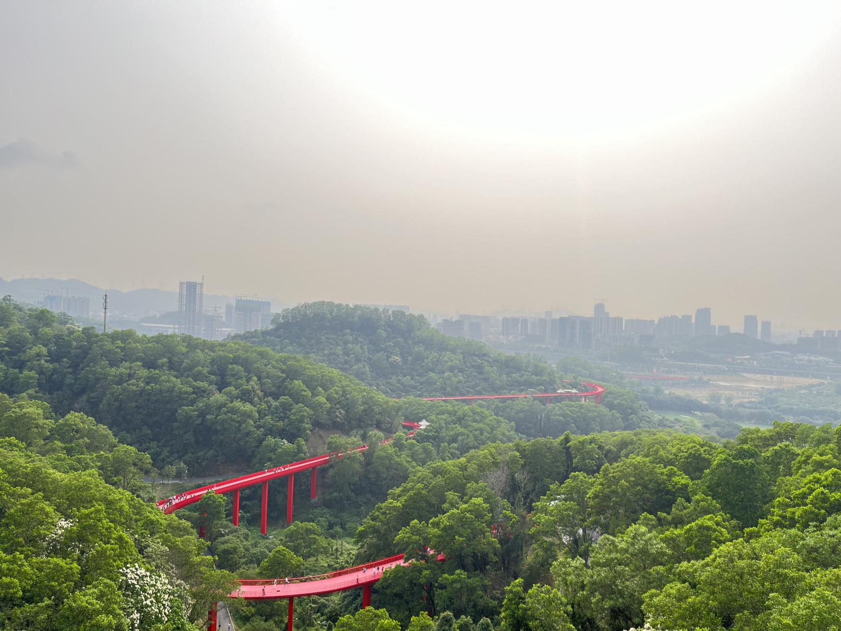 深圳红桥公园,周末出来走走还是蛮舒服的