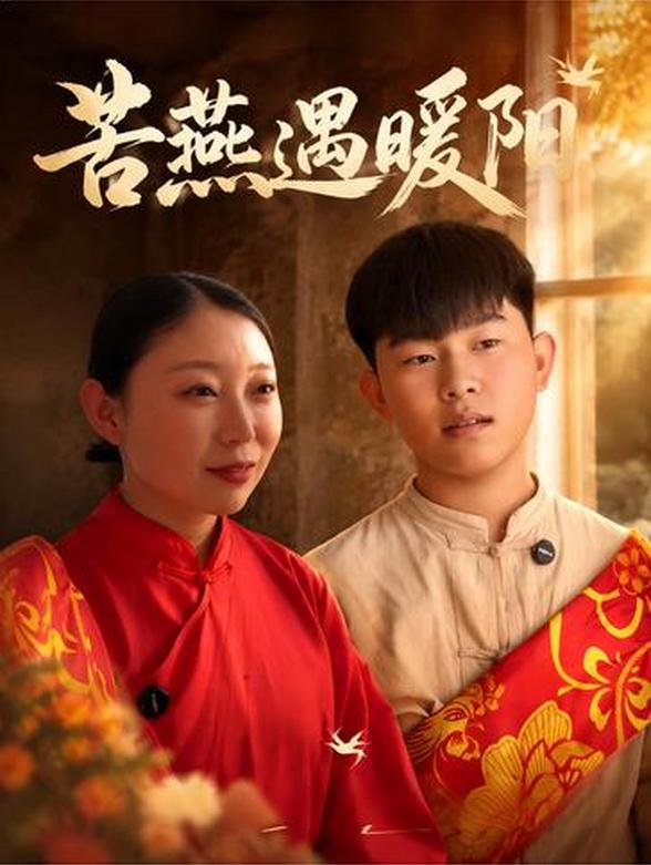 苦燕遇暖阳封面图
