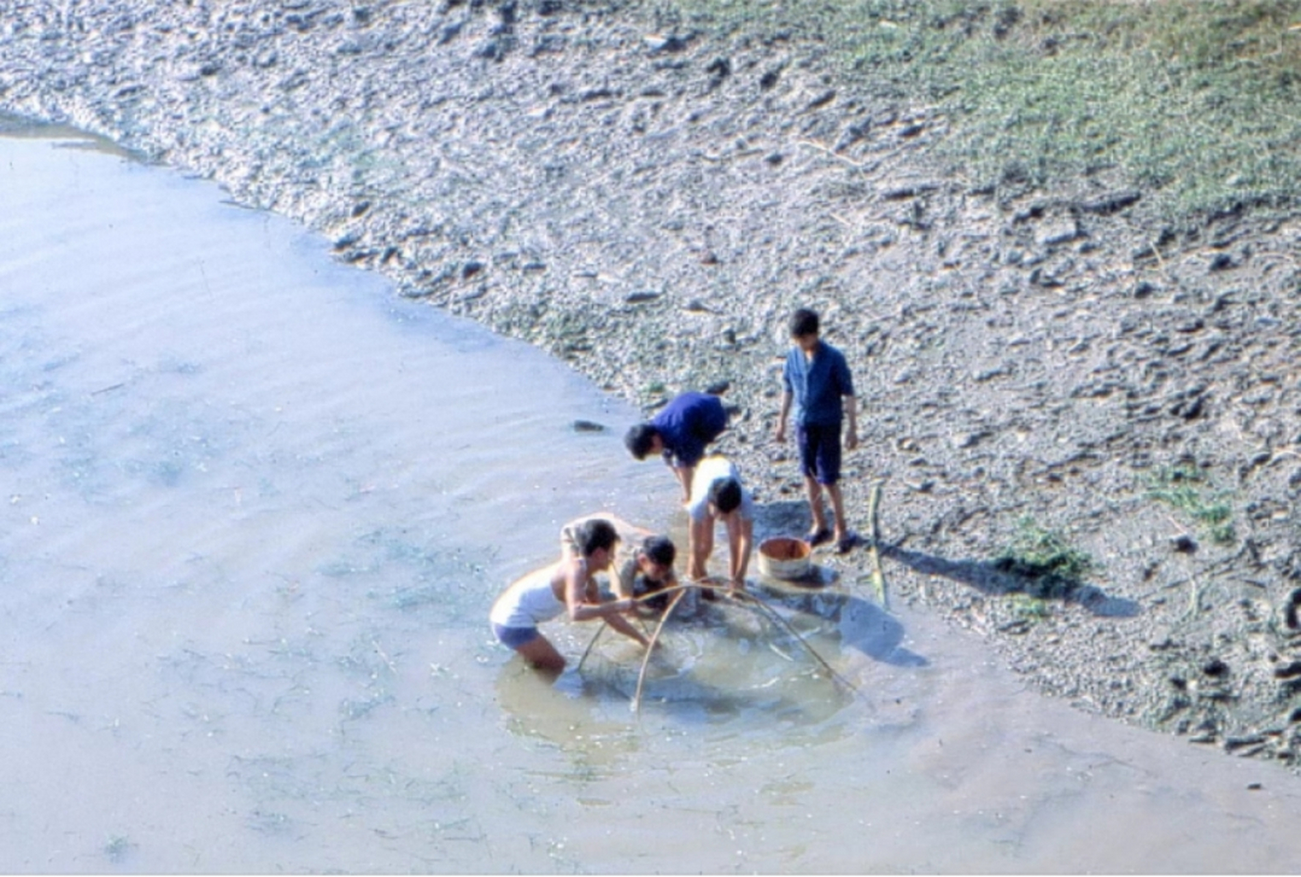 农村孩子在河里玩图片图片