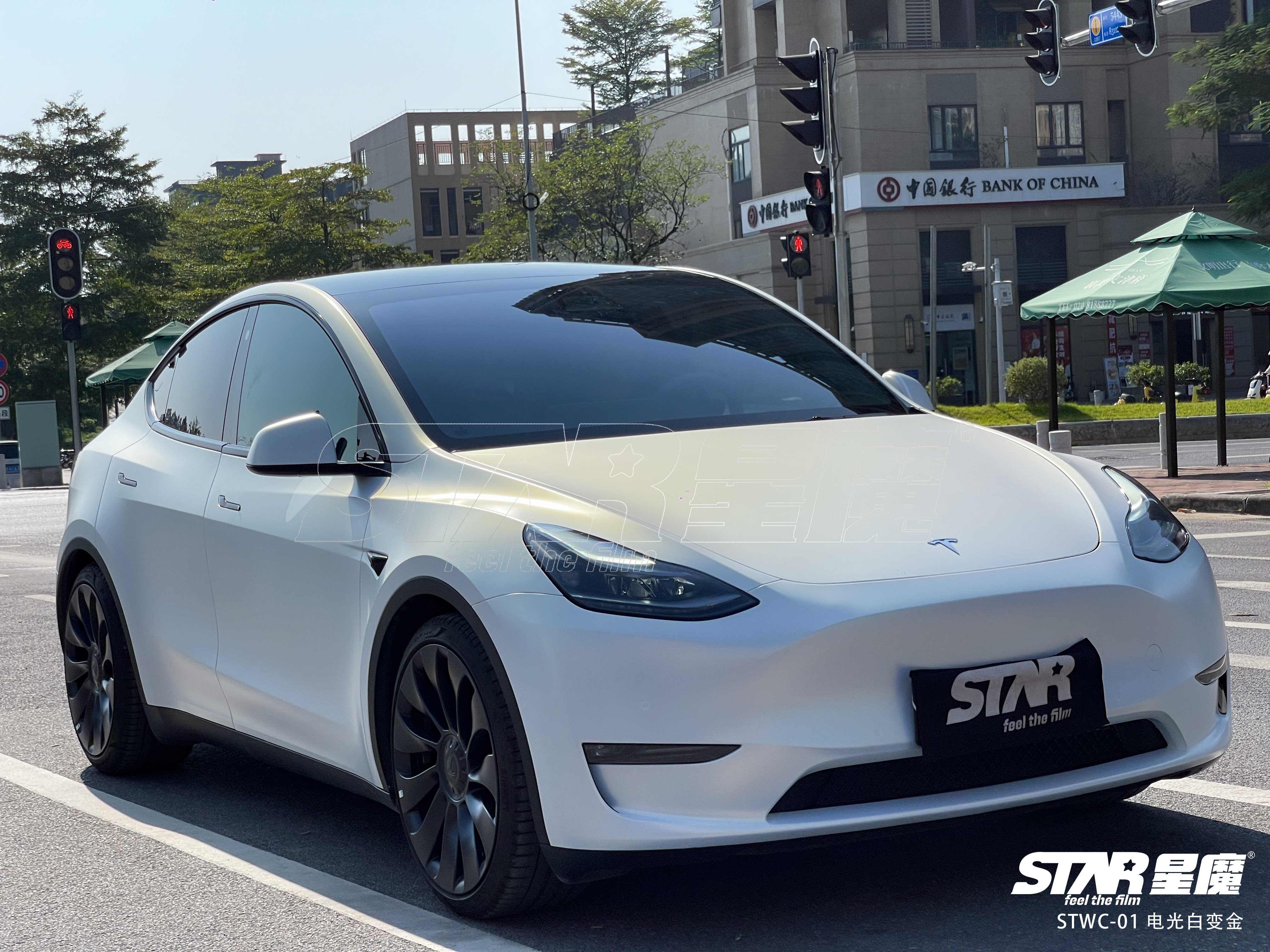 model y 电光白变金