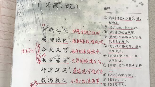 [图]《采薇（节选）》，看资深教师讲解，帮助学生提高语文素养