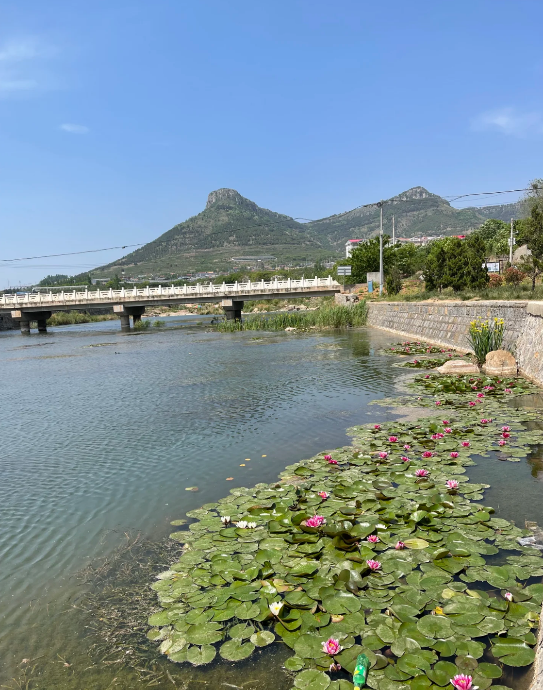 山亭旅游景点大全介绍图片