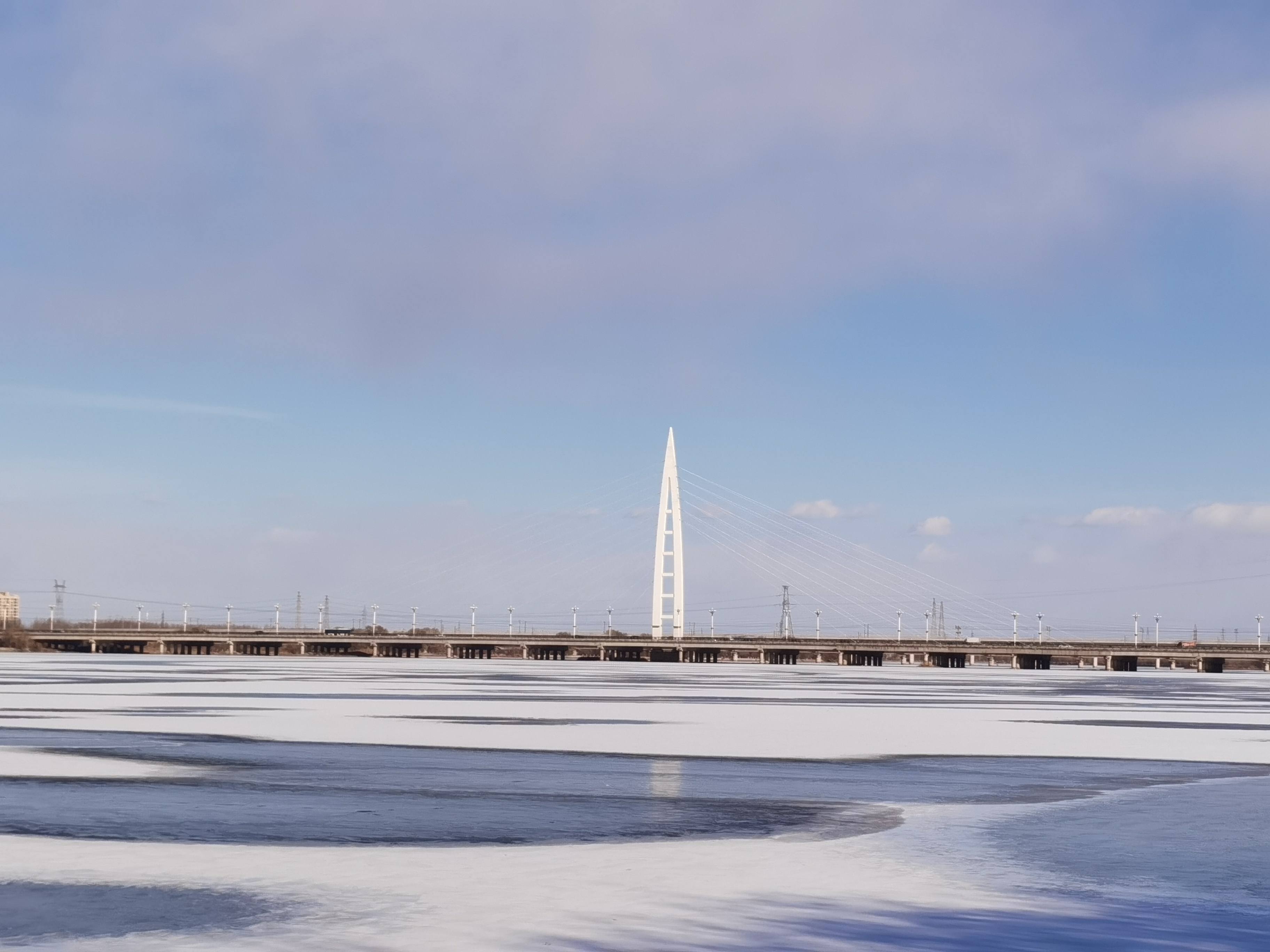 盘锦辽河湿地公园的冬天 阳光照亮了冰雪世界 不说再见