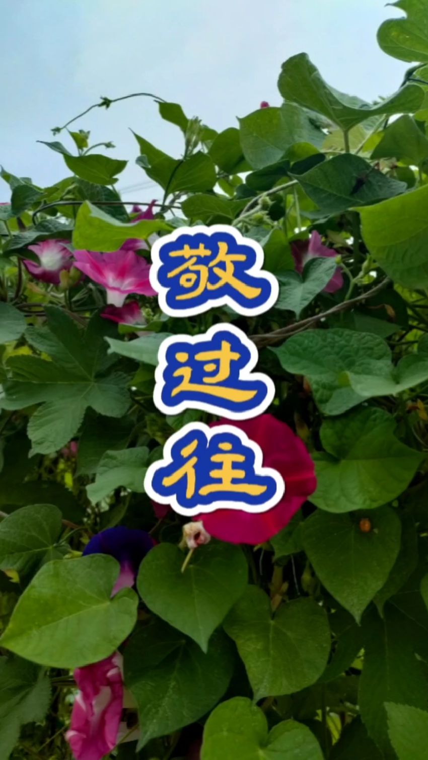 每个人都会有一段不堪回首的过往,让我们敬一杯自己,忘掉过往,抬头