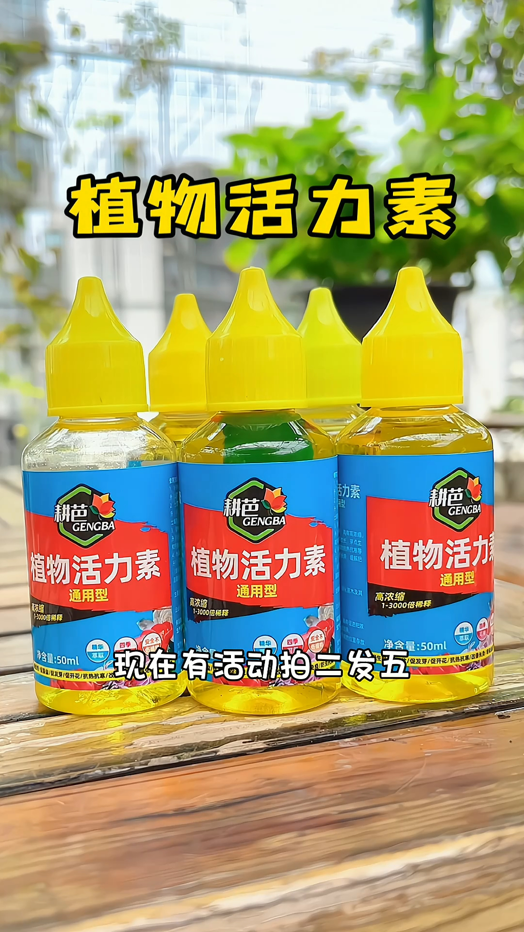 植物长势缓慢半死不活僵苗黄化小叶长势弱浇水的时候