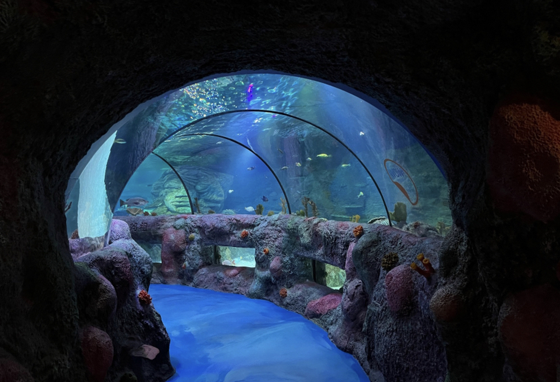 重庆长嘉汇海洋乐园是一个集科普教育,海洋文化,娱乐休闲为一体的综合