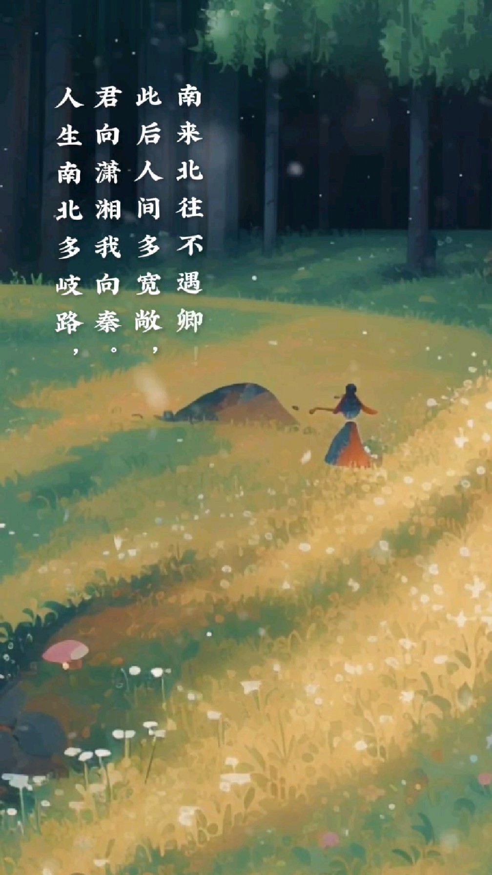 南来北往什么意思?(南来北往什么意思打生肖)