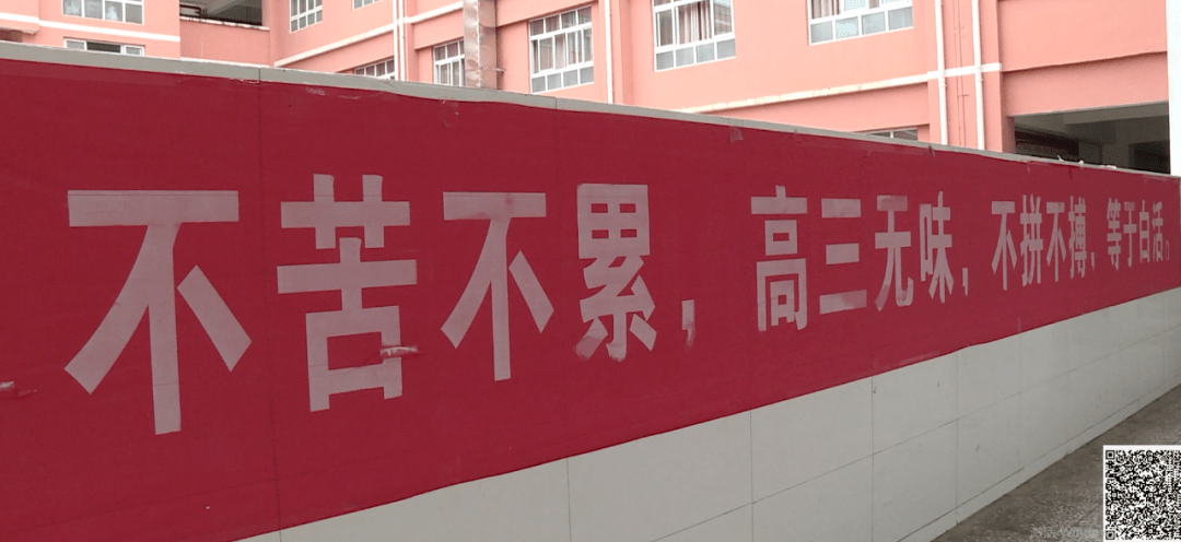 那些神级高考标语,既体现了学子的艰辛,又特别有喜感