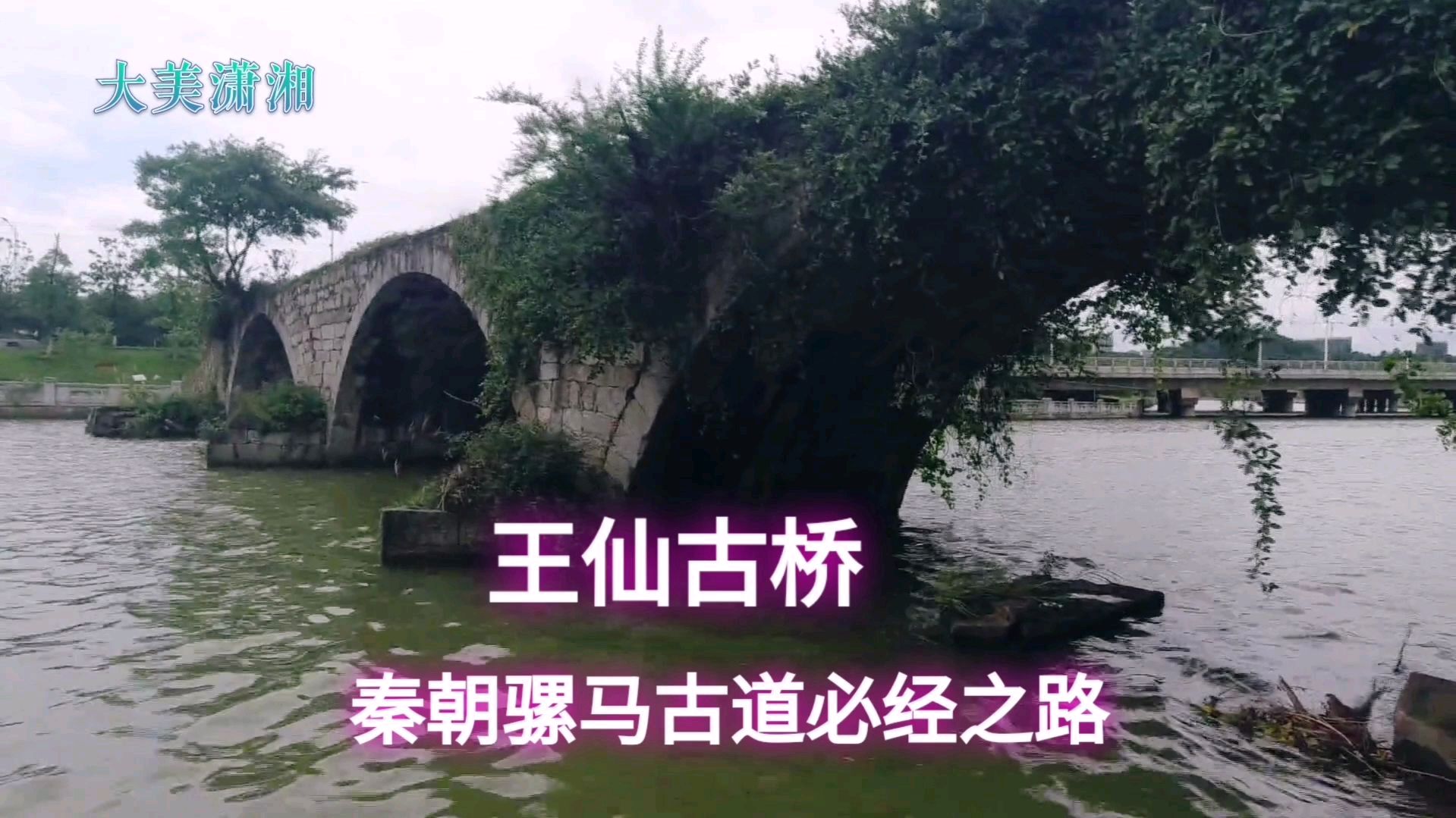 王仙古桥,和郴州一样古老,桥上结满了凉粉果