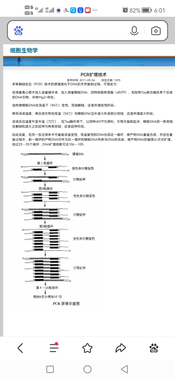 穆利斯发明人类第一个pcr技术,也从此凯利·穆利斯被称为pcr之父