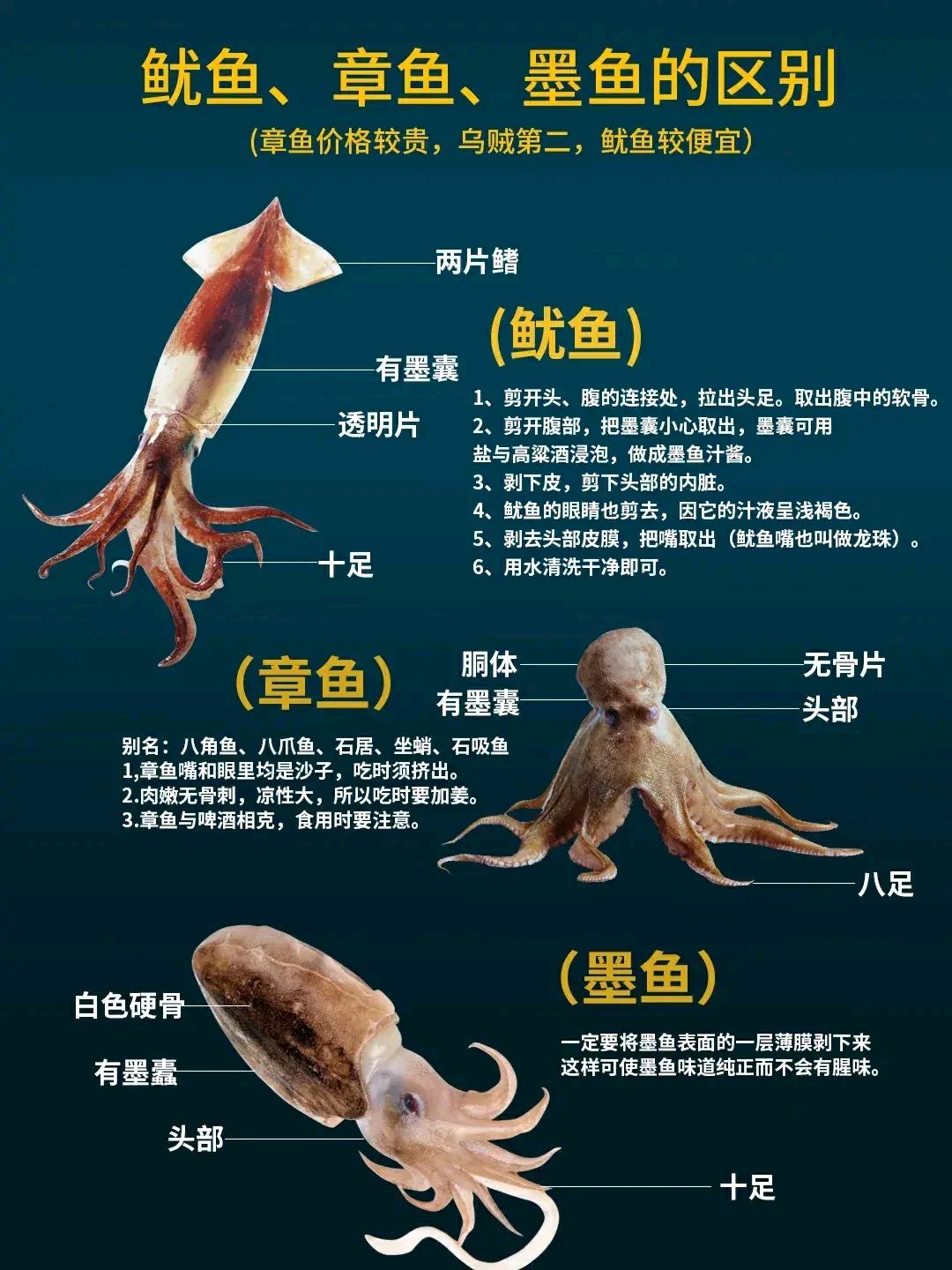 淄博小燒烤必然少不了魷魚?章魚?墨魚?瞭解一下?